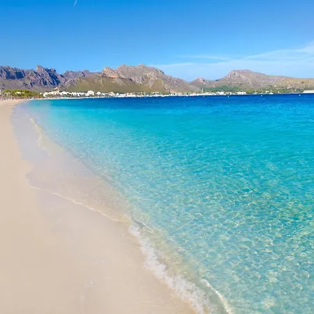 Sort Gran * Pollenca