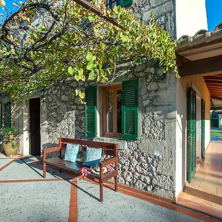 Sort Gran By Vintage Travel * Pollensa